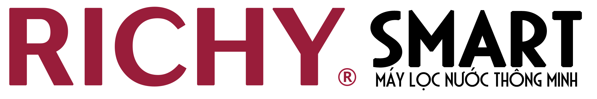 richyvietnam.vn